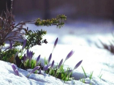 Дорогие  наши женщины!